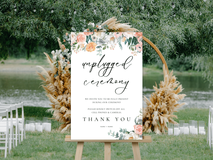Blush Pink And Peach Chic Pastel Wedding Unplugged Ceremony Sign Sign 2 Dreamy