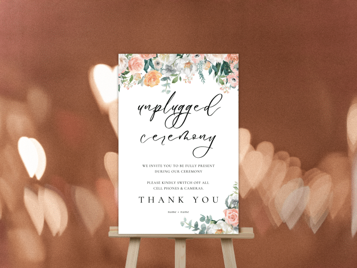 Blush Pink And Peach Chic Pastel Wedding Unplugged Ceremony Sign Sign Dreamy