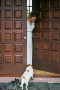 10 Creative Ways To Include Your Pet In Your Wedding