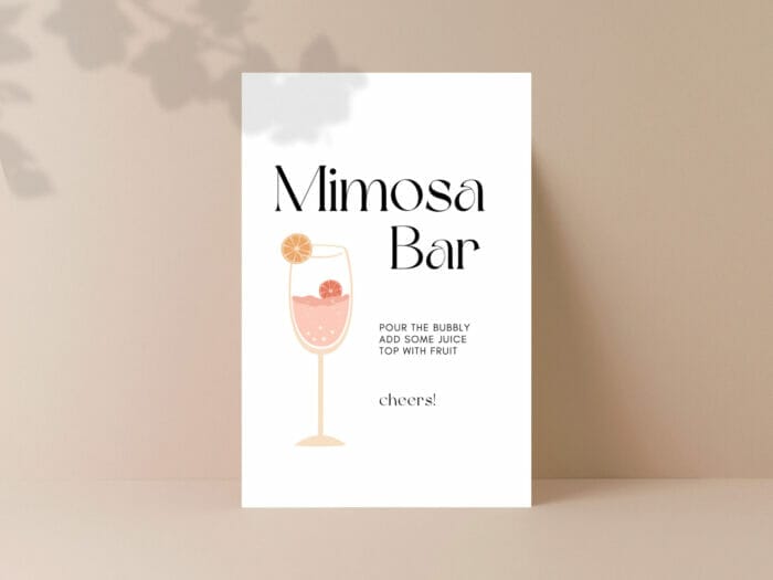 Modern Luxe Mimosa Bar 2